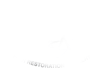 Logo of the International Society of Hair Restoration Surgery (ISHRS), featuring a globe design. Represents the organization's focus on hair restoration.